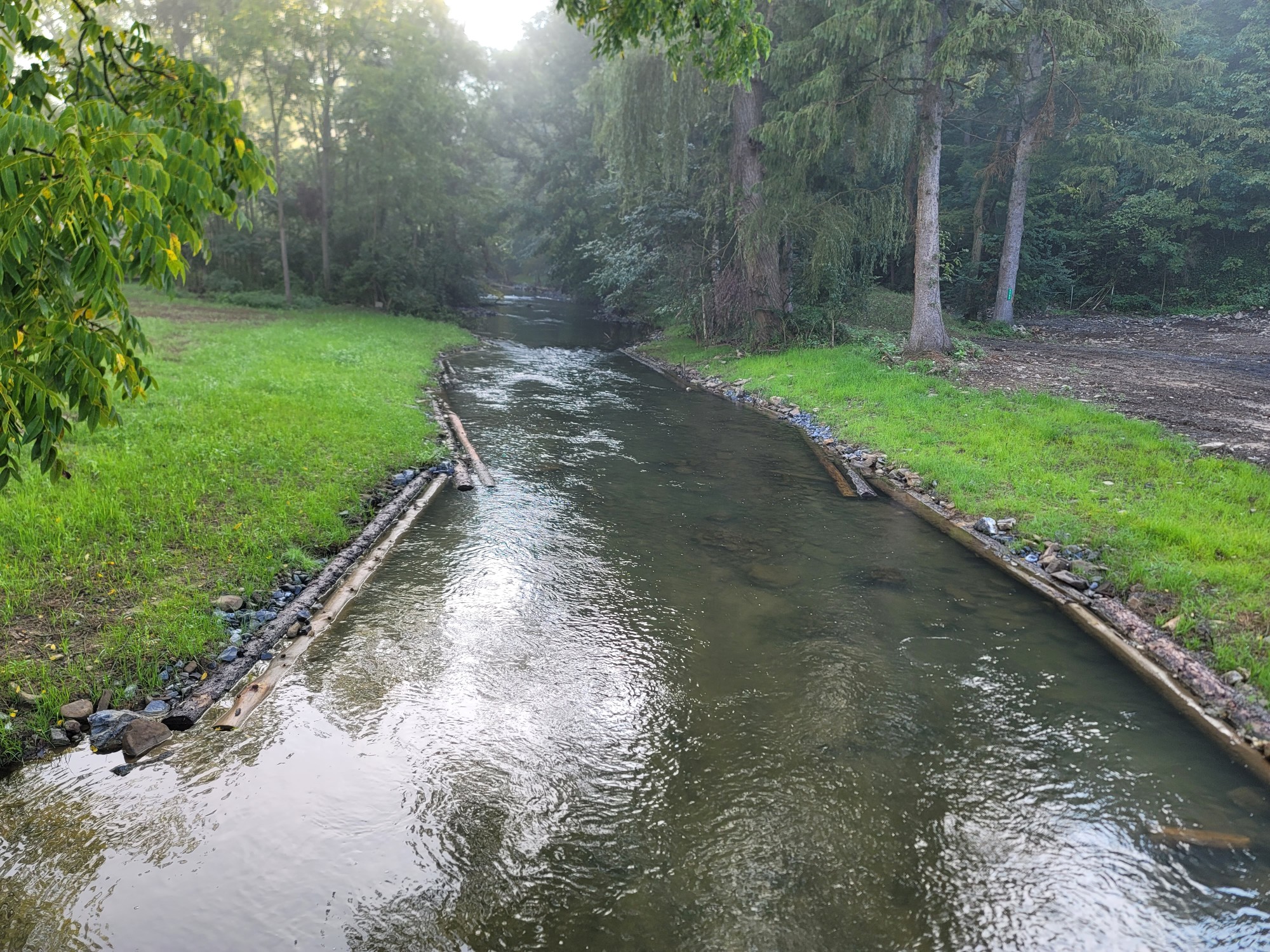 Habitat structures are shown on a flowing stream. Log-framed deflectors run along both banks, which show a wildflower pollinator