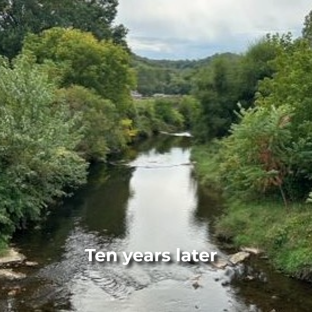 Photo of Mill Creek, Westmoreland County, ten years after habitat improvement project was completed.