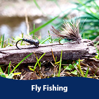 Fly Fishing image