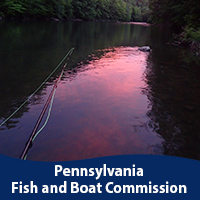 PA Fish and Boat Commission image
