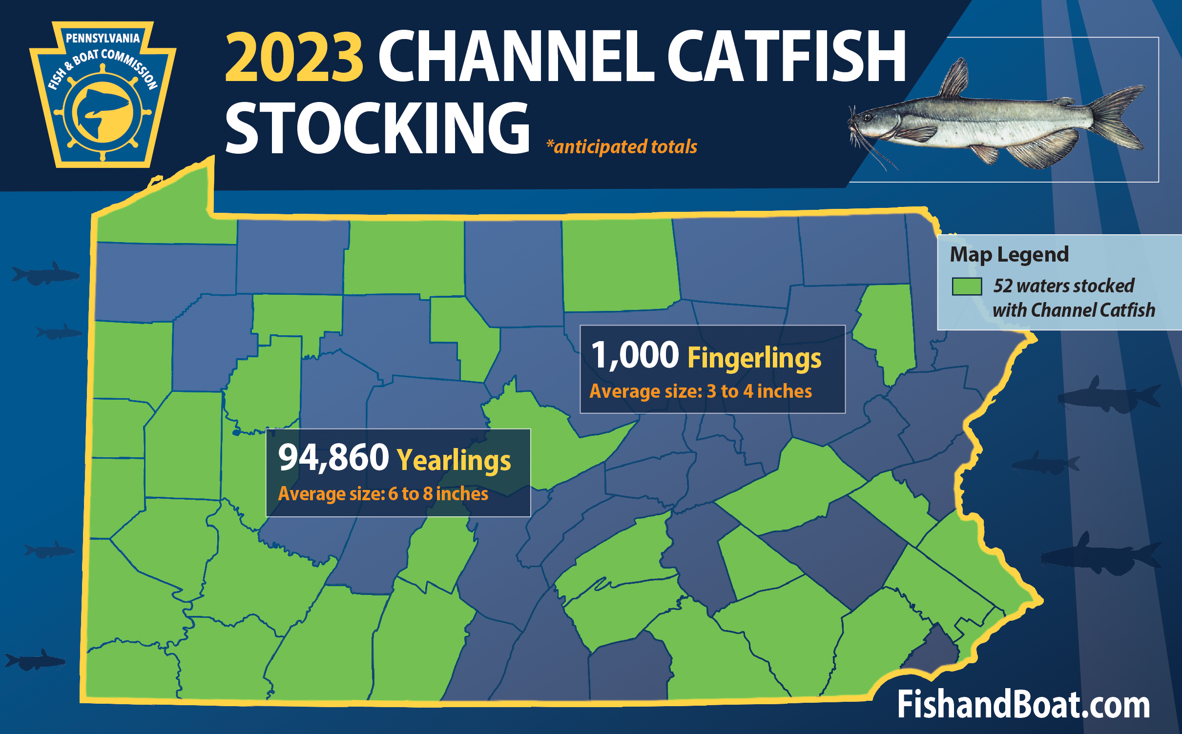 channel catfish stocked infographic.jpg