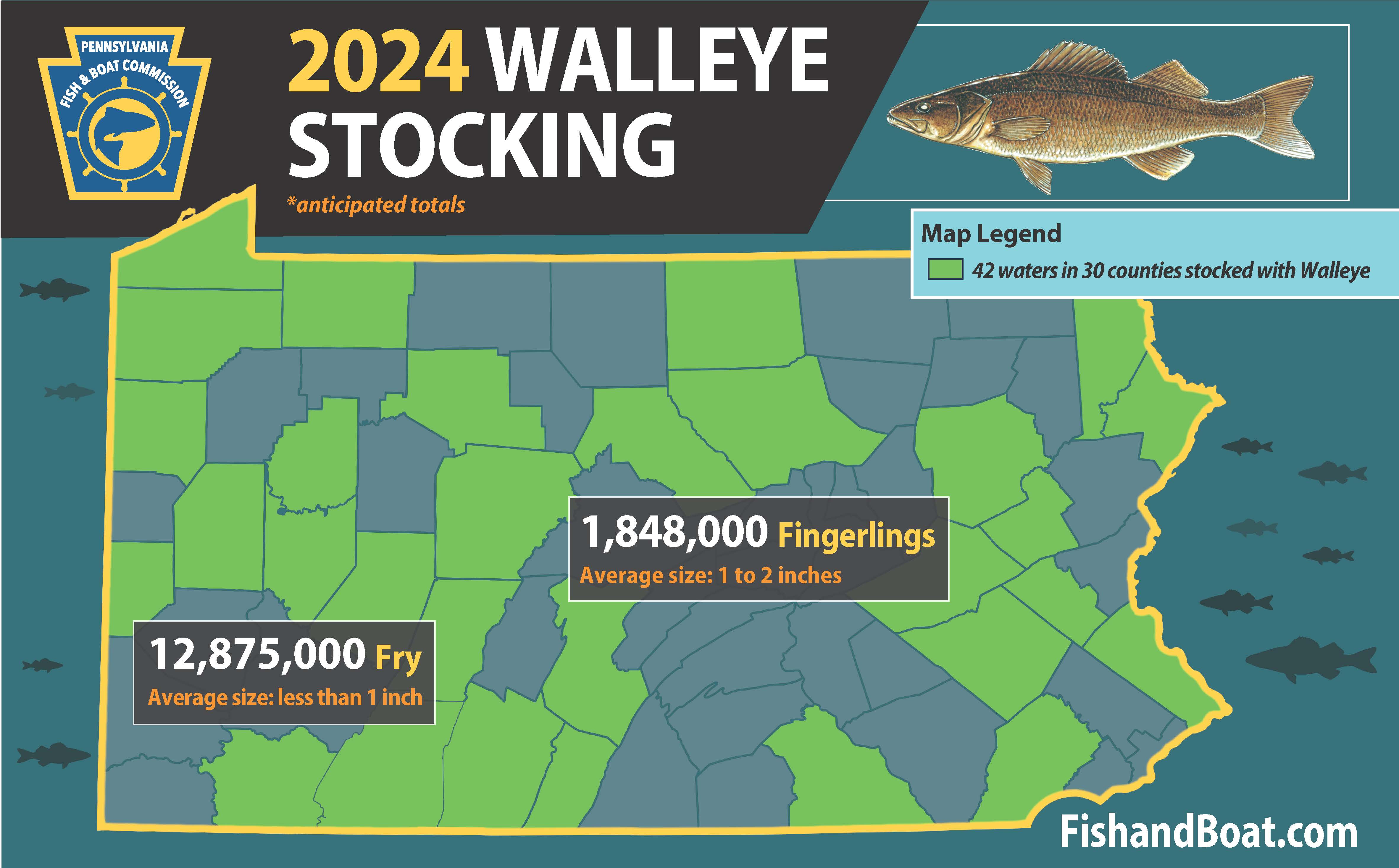 https://www.fishandboat.com/Fishing/Stocking/PublishingImages/2024-Walleye-Stocked-infographic.jpg