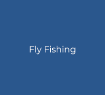 FlyFishing.png