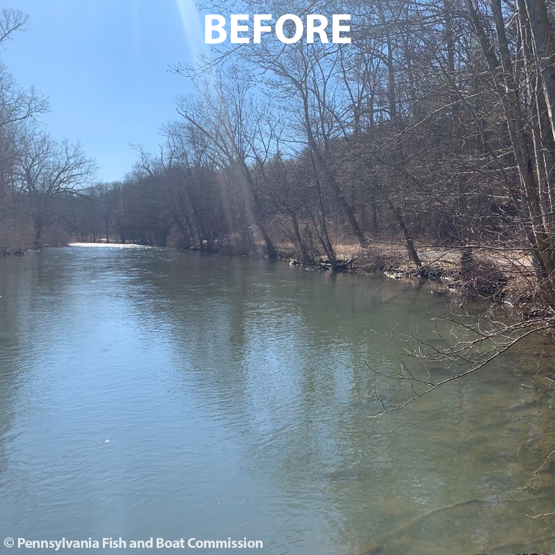 A "BEFORE" photo of an overwidened section of Spring Creek, Centre County, with eroding banks.
